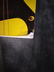 Electric Bass Guitar Revised Edition 1989