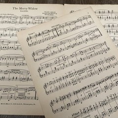 The Merry Widow Waltz 1933 Franz Lehar Piano Solo Unexcelled Edition