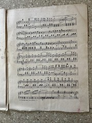 Beautiful Blue Danube By Strauss Antique Piano Sheet Music 1902