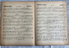 VTG Czech Orchestration Melodion Emil Stolc 1st Ed Set + Hand Written Parts RARE