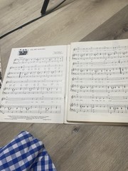Beatles “Sweet Sixteen” Sheet Music Collection Vocals Guitar Songs Piano 1968