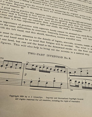 Lot 4 Vintage Piano / Violin Sheet Music / Books Early 1900s / Music Classics