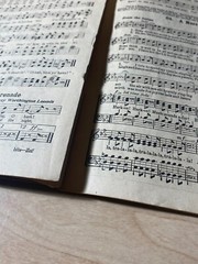 ANTIQUE TWICE 55 COMMUNITY SONGS No.1 The Brown Book SC 1917 C.C. Birchard & Co.