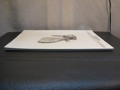 Coldplay – A Rush of Blood to the Head Piano/Vocal/Guitar Artist Songbook
