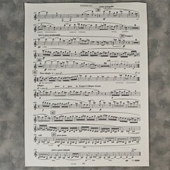 Nielsen Clarinet Concerto Op 57 WH30643 Piano Score Solo Part 2003 Sheet Music