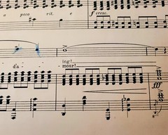 Sheet Music, Morning (Le Jour) D min High Voice by Oley Speaks. Frank L Stanton