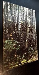 The Praise Album RARE 1978 Maranatha! by Phil Kristianson Arranged For Choirs.