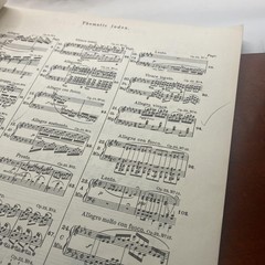 Vintage G Schirmer Chopin Etudes Complete Works Piano Score 1551 Yellow USA