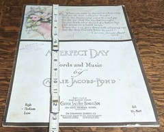 A PERFECT DAY 1914 Vintage Sheet Music LOVELY Artwork Frameable Wall Art 10&Prime;x14&Prime;