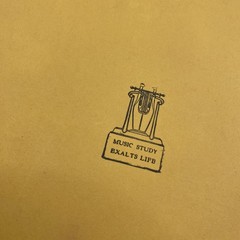 Vintage Theodore Presser Beethoven Sonatas Volume Two Piano Sheet Music Yellow