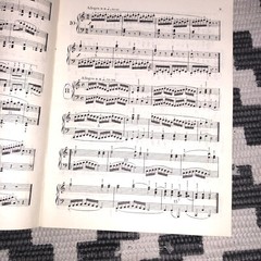 Lot Of 10 Vintage Piano Scores And Studies. Condition Varies