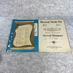 Vintage M. Witmark & Sons Sheet Music Collection Lot of 28 Titles in Description
