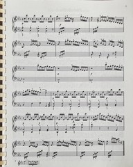 The Library of Piano Classics Vol 2 Sheet Music Book AMSCO Publications