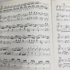 Mozart Sonatas & Fantasies For The Piano Theodore Presser Songbook Music Vtg