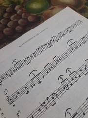 Vincent Bredice Jazz Guitar Lines Rare Book,1981 Edition 142 Pages Spiral
