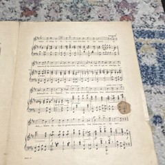 Women of the Homeland Sheet Music Piano Voice Patriotic Leo Feist Inc