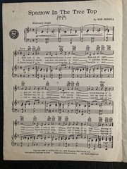 Vintage « Sparrow In The Tree Top » Sheet Music, Vintage 1951 Guy Mitchell Cover