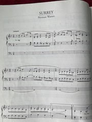 One Hundred Hymn Preludes for organ Kevin Mayhew 1993