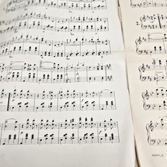 On the Beautiful Blue Danube Sheet Music Piano Johann Strauss Op 314 1901 Waltz
