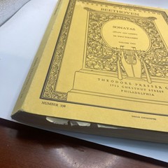 Vintage Theodore Presser Beethoven Sonatas Volume Two Piano Sheet Music Yellow