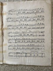 Beautiful Blue Danube By Strauss Antique Piano Sheet Music 1902