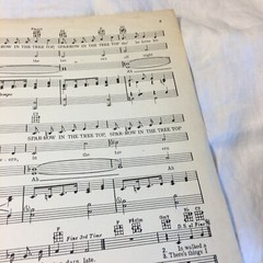 Sparrow in The Tree Top Bob Merrill Sheet Music 1951 Vintage