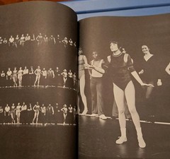 A Chorus Line A Updated Edition By Kleban, Edward Trade Paperback
