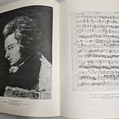 Mozart Sonatas & Fantasies For The Piano Theodore Presser Songbook Music Vtg