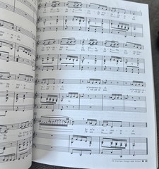 26 Italian Songs and Arias: Medium Low Voice by John Glenn Paton Paperback
