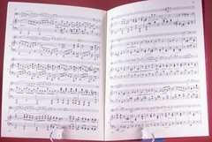 Braham&rsquo;s Sonata F Minor Opus 120 E Flat Major Viola Piano Lot of 2 PB Books IMC