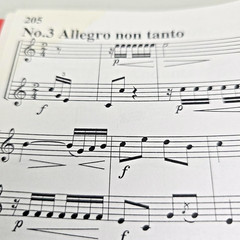 Giovanni Punto Vingt Duo Concertans 20 Duets Hans Pizka French Horn Music Score
