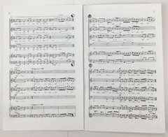 Psalm 117 SATB Chorus Unaccompanied Piano Sheet Music By Stanley M Hoffman ECS