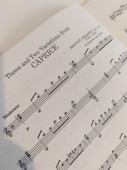 The Guitar In Italy For Classical Guitar Rare Sheet Music Book,1972 Edition