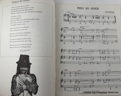 Rare 1978 Songbook Chuck Mangione Feels So Good Sheet Music Book