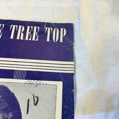 Sparrow in The Tree Top Bob Merrill Sheet Music 1951 Vintage