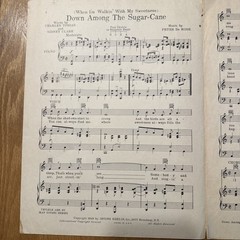 Vintage “Down Among The Sugar Cane” Sheet Music, 1929