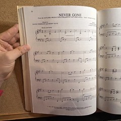 TV & Movie Themes Solo Piano Songbook Dan Coates Professional Touch Excellent