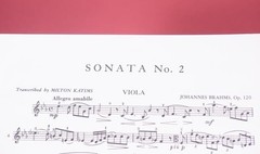 Braham&rsquo;s Sonata F Minor Opus 120 E Flat Major Viola Piano Lot of 2 PB Books IMC