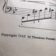 Theodore Presser Piano Solo Vintage Collectible Midnight In Vienna Felix De Cola