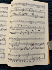 Chausson 20 Songs for High Voice and Piano SC No 1130 International Music French