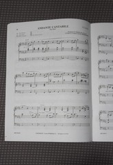 The Organ Portfolio, May 1994