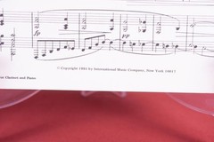 Braham&rsquo;s Sonata F Minor Opus 120 E Flat Major Viola Piano Lot of 2 PB Books IMC