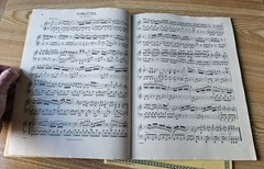 Schirmer&rsquo;s Library of Musical Classics Selected Sonatinas 1904 and Clementi 1941