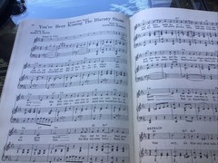 Vintage “40 Irish Hits Through The Years » Music Book M. Witmark & Sons