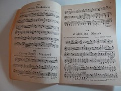 Polish Polka Dance Orchestra No. 3 by Louis Vitak 1920s Strings Brass Bass Drums