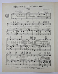 « Sparrow In The Tree Top » Guy Mitchell Bob Merrill 1951 Sheet Music