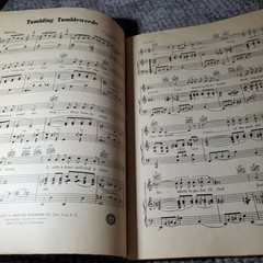 Sgt. Gene Autry Patriotic Hillbilly Songs Folio P/V/G Western Music 1943