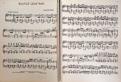 Ragtime Piano Best Of Scott Joplin Song Sheet Music Book