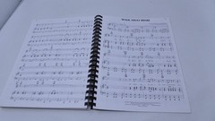 The Definitive Rock&rsquo;N&rsquo;Roll Collection: 95 Vintage Classics, Songbook [1955-1966]