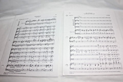 Large Group of 29 Choral Sheet Music Books